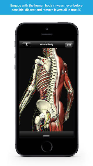 More Than 5,000 3D Anatomy Models image
