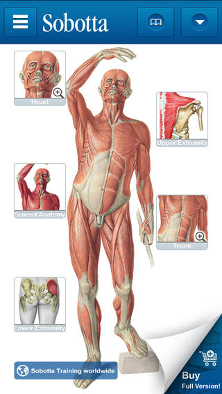 View Detailed Images of Human Anatomy image
