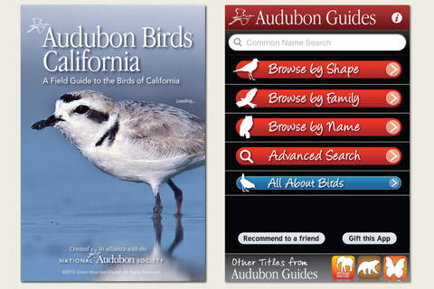 Audubon Birds California  A Field Guide to the Birds of California