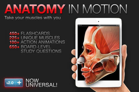 Anatomy In Motion screenshot 1