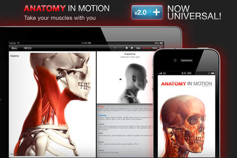 Anatomy In Motion screenshot 2
