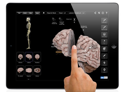 Brain and Nervous System Pro III app screen shot 1
