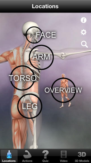 Learn All About Muscles image