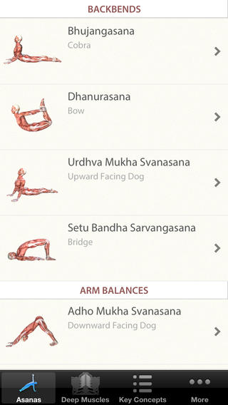 3D Yoga Anatomy Lite | Guide & Reference screenshot 2