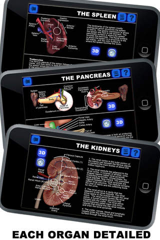 Learn All About the Human Vital Organs image