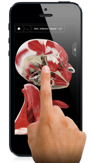 Muscle System Pro III - iPhone Edition screenhot 1