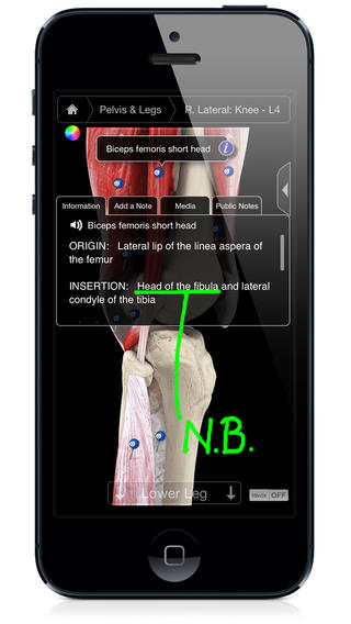 Muscle System Pro III - iPhone Edition screenhot 2
