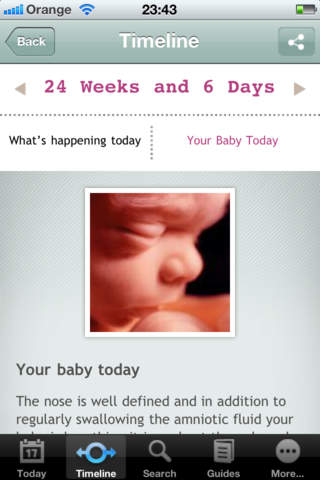 DK Pregnancy Day by Day screenshot