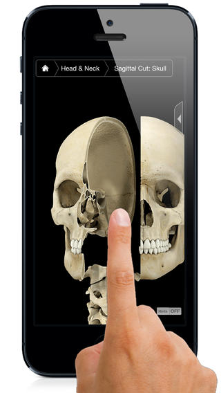 Skeleton System Pro III a fully-fledged iPhone edition