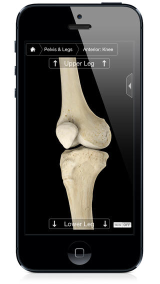 Skeleton System Pro III see the skeletal system in glorious detail