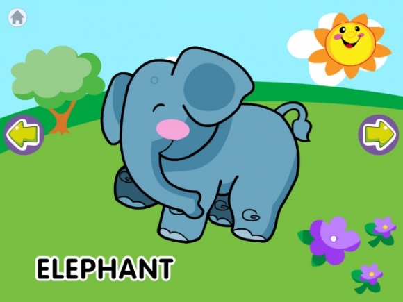 Elephant level 1 with flash card. 