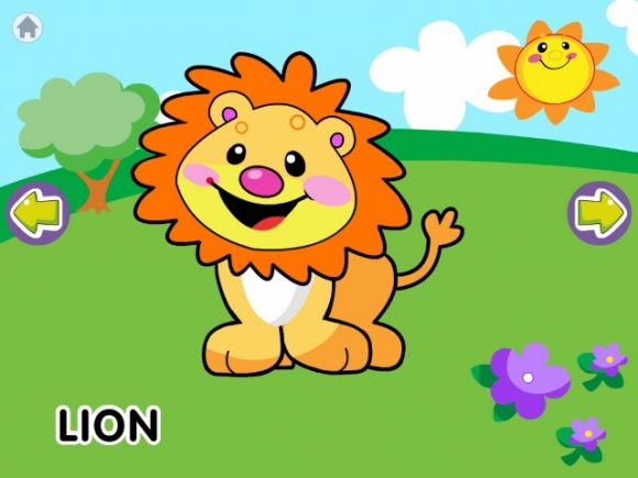 The lion level 1 with flash card. 