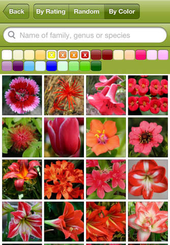 Familiarize Yourself with Flowers image