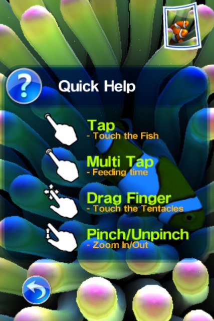 Interact with your fish