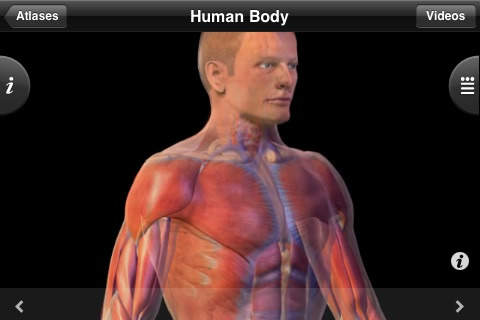 Learn about human anatomy