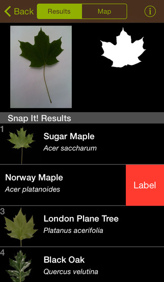 Best Features of Leafsnap  image