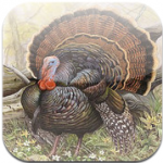 The best iPhone and iPad turkey apps