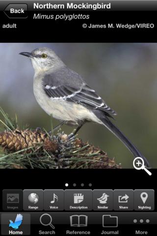  Audubon Nature Texas screenshot 2