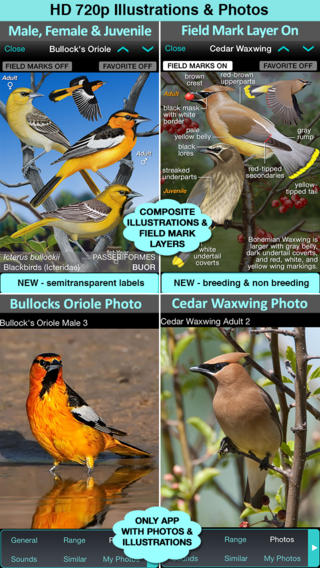 A Guide to Birds image