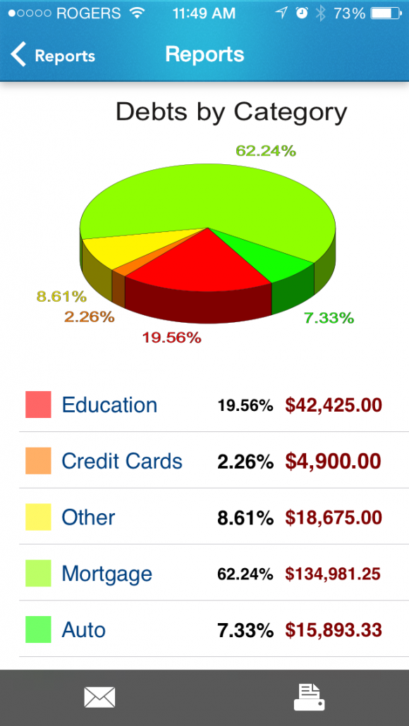 Debt report by category