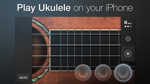 Master the ukulele