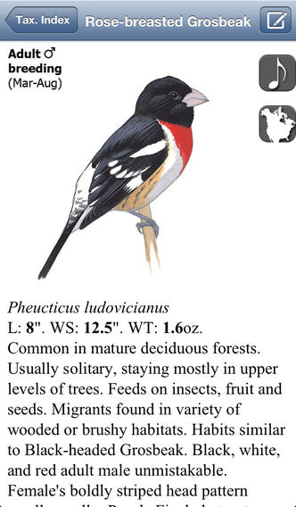 Read up on North American bird species
