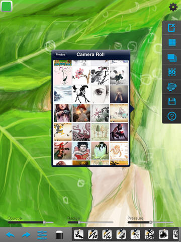 Import photos from your Camera Roll to draw on
