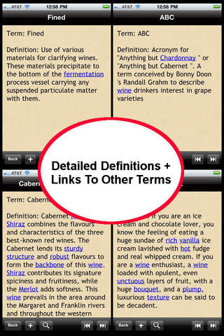 Core Content of Wine Tasting Glossary Terms App image