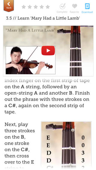 Play Violin like a Pro in Less Than 30 Days image