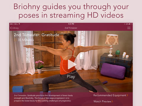 Get Professional Post- and Prenatal Yoga Videos image