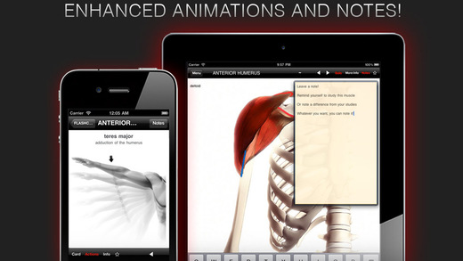 Best Features of Anatomy In Motion iTunes App image
