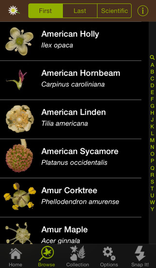 Identify Different Tree Species in a Snap image