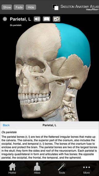 Best Anatomy Reference for Students and Health Personnel image