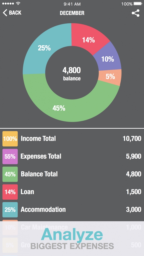 Analyze Expenses image